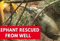 Elephant rescued after becoming trapped in a well