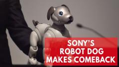 Sonys new Aibo robot dog is the cutest in AI technology