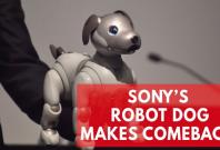 Sonys new Aibo robot dog is the cutest in AI technology Sonys new Aibo robot dog is the cutest in AI technology