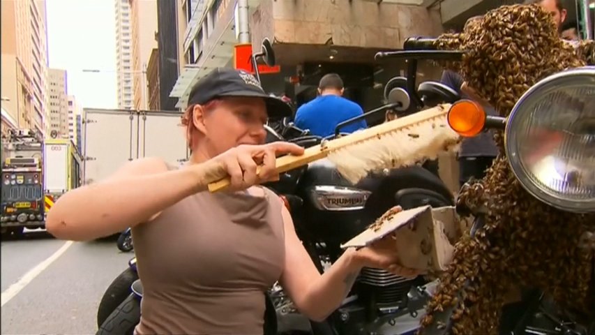 Gigantic swarm of bees forces people to duck for cover