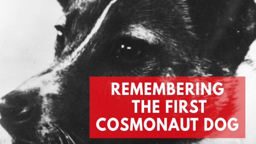Remembering Laika, the worlds first living creature in space