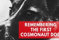 Remembering Laika, the worlds first living creature in space