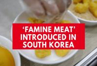 North Korean defector introduces famine meat to South Korea