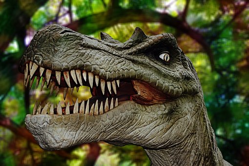Dinosaur Dinosaur