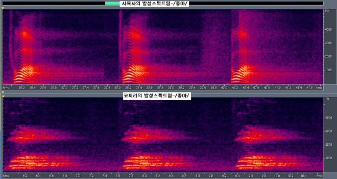 Spectrogram