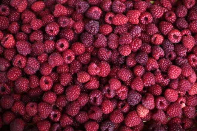 Raspberries