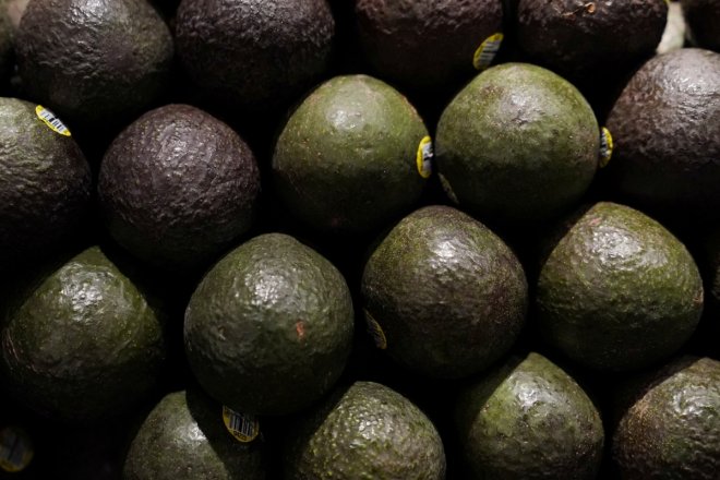 Avocados