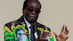 President Mugabe supporters rally following sacking of Vice President