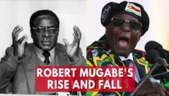 President Robert Mugabes rise and fall