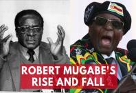 President Robert Mugabes rise and fall