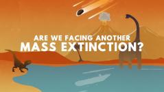 Are we facing another mass extinction event?