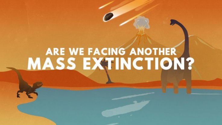 Are we facing another mass extinction event? Are we facing another mass extinction event?