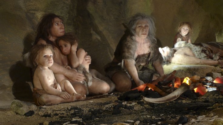 The Neanderthals