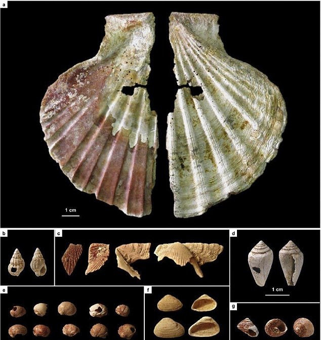 Neanderthal  artifacts