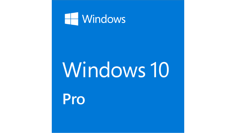 windows 10 professional download