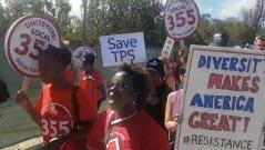 Save TPS: Protesters rally at President Trumps Mar-a-Lago estate for Haitian immigration reform