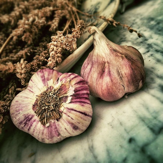 Garlic to combat cystic fibrosis