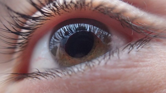 Enzyme that causes vision loss