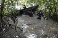 Singaporean trekker dies while trying to scale Malaysia's Gunung Tahan