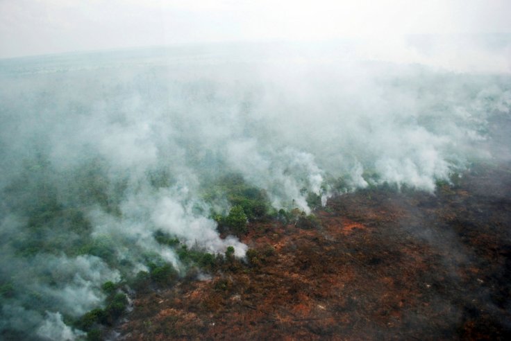 Indonesia's latest comments on Transboundary Haze Pollution Act welcomed by Singapore