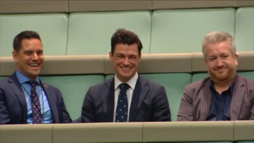 Politician proposes to boyfriend during Question Time on same-sex marriage
