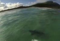 Video captures moment Australian surfs over shark