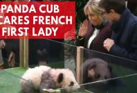 Frances first baby panda growls as godmother Brigitte Macron names her