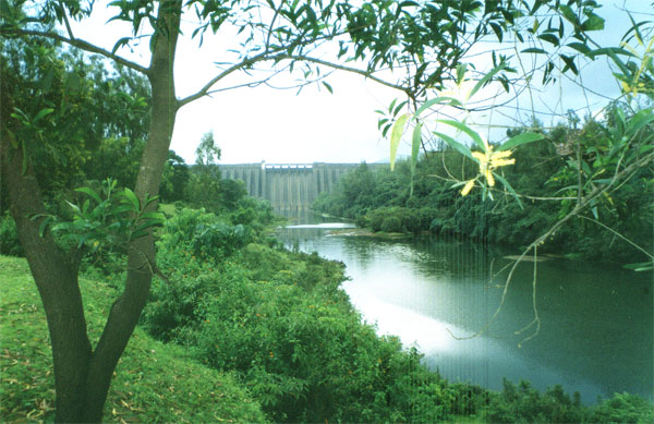 koyna dam