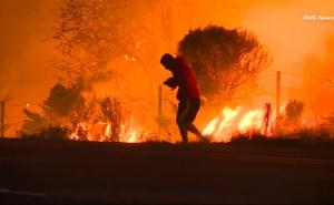 Dramatic moment man rescues rabbit from California wildfires