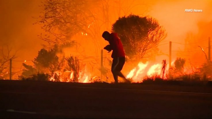 Dramatic moment man rescues rabbit from California wildfires