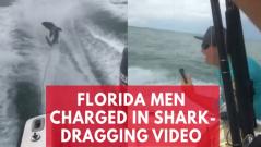 Shocking video of shark dragged by speed boat leads to arrests