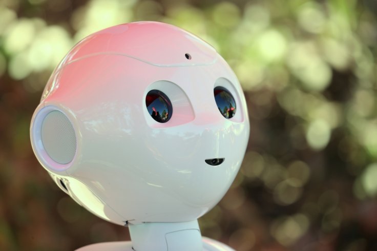 An artificial Intelligence project utilizing a humanoid robot from French company Aldebaran