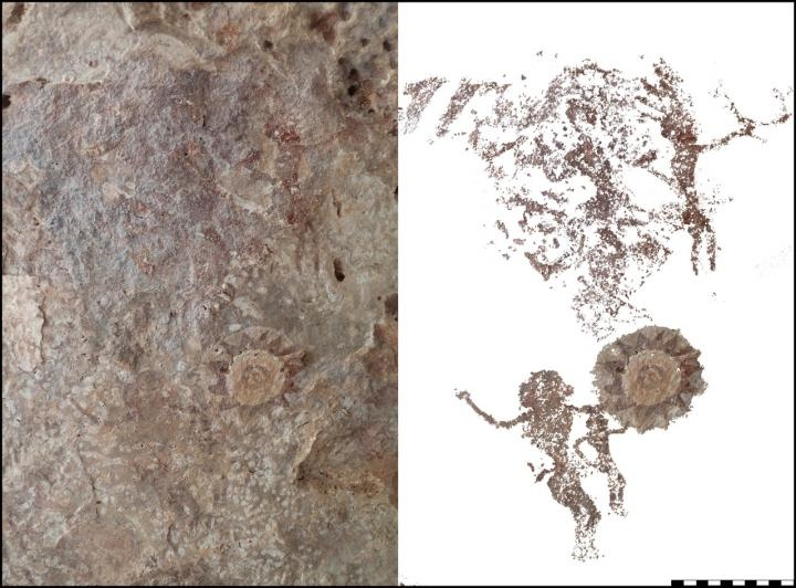 Cave paintings treasure trove found on Indonesian island