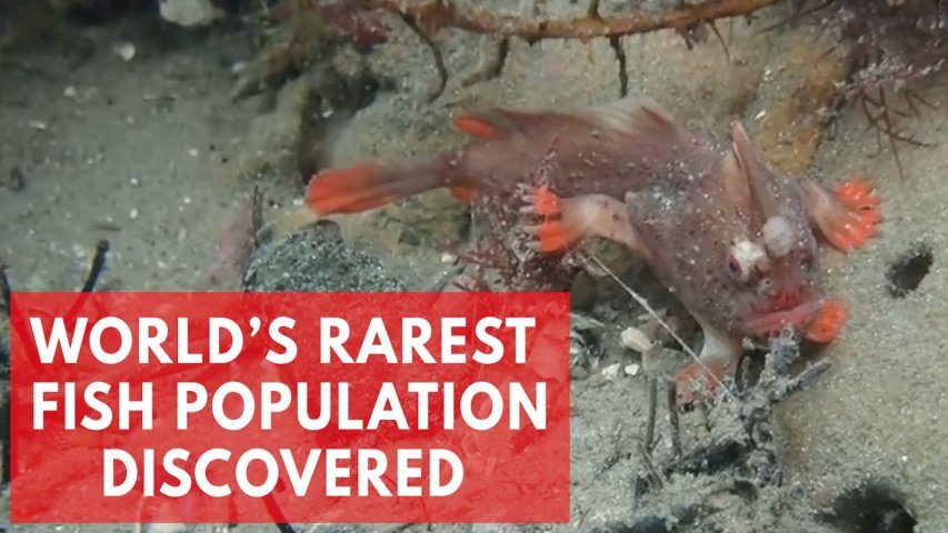 ‘Along with the Gods: The Two Worlds’ 