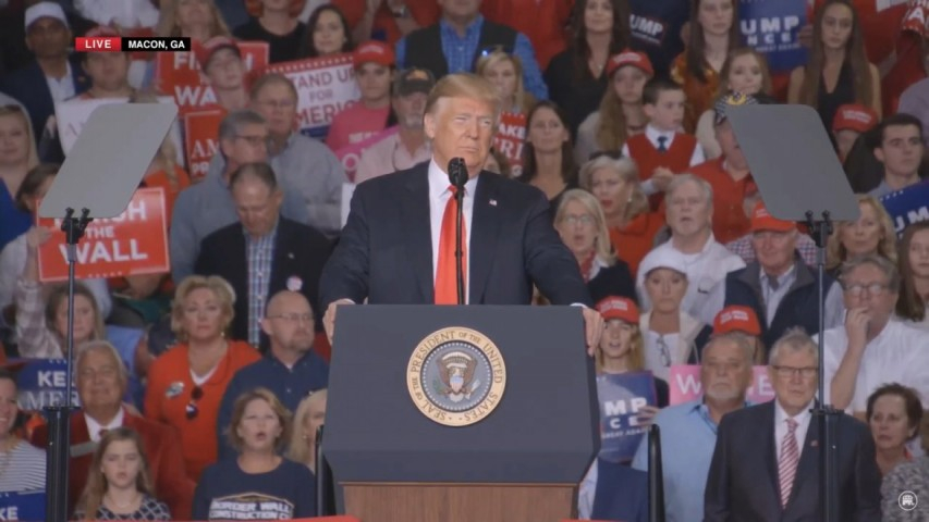 Life image of Desis bobmarleyi 