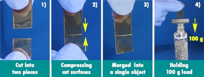 Yu Yanagisawa’s newly discovered polymer