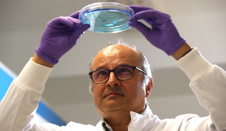 Professor Ketan Patel works in the lab at MRC Laboratory of Molecular Biology in Cambridge