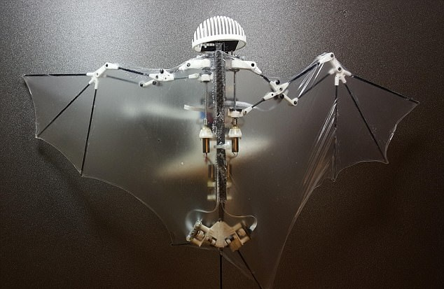 Laser-equipped bat drones