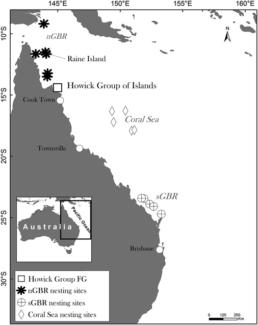 Green Sea Turtle Nesting and Foraging Sites within the Southwest Pacific