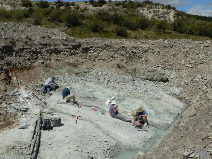 The fossil dig site at St Bathans in New Zealand where the fossilised remains of an extinct giant burrowing bat, Vulcanops jennyworthyae, were found. The fossil dig site at St Bathans in New Zealand where the fossilised remains of an extinct giant burrowing bat, Vulcanops jennyworthyae, were found.