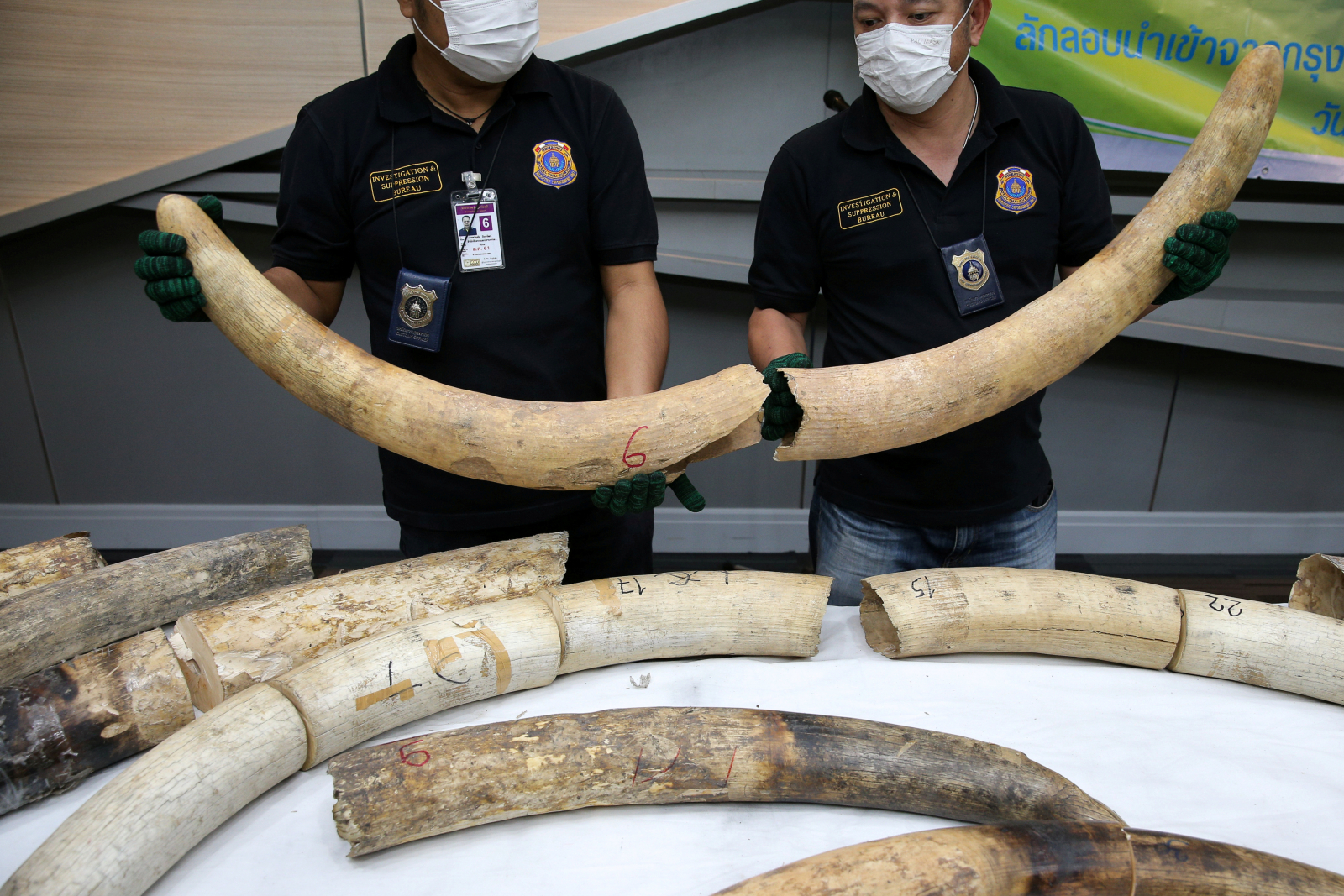 Bangkok Officials Seize $450,000 Worth Of Smuggled Ivory From ...