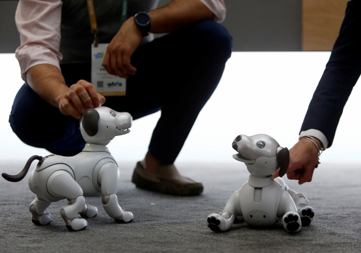 UNITED STATESSony's Aibo robotic dogs are displayed during the 2018 CES in Las Vegas