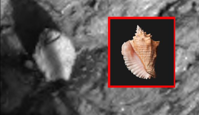 Mars Curiosity Rover Mars Curiosity Rover