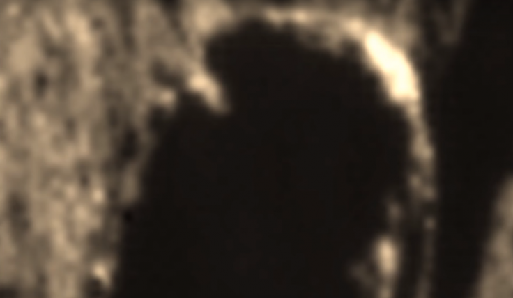 Alien with breathing tube spotted on Moon Alien with breathing tube spotted on Moon
