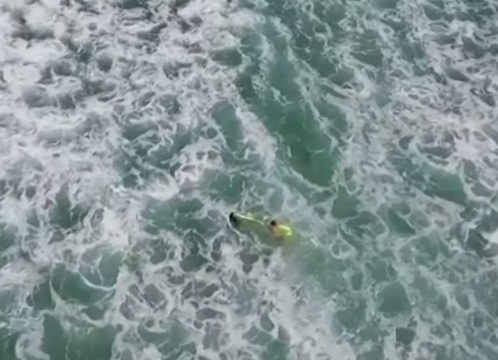 Swimmers moving towards the shore 