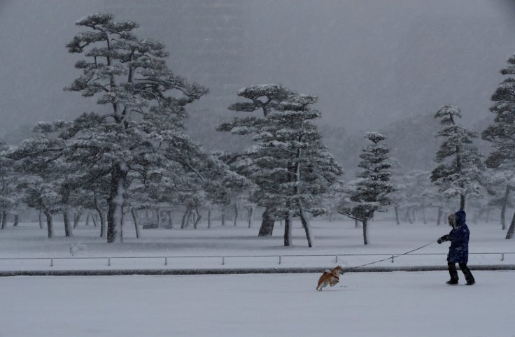 A woman and a dog make their way in the heavy snow at the Imperial Palace in Tokyo, Japan January 22, 2018. REUTERS/Kim Kyung-Hoon