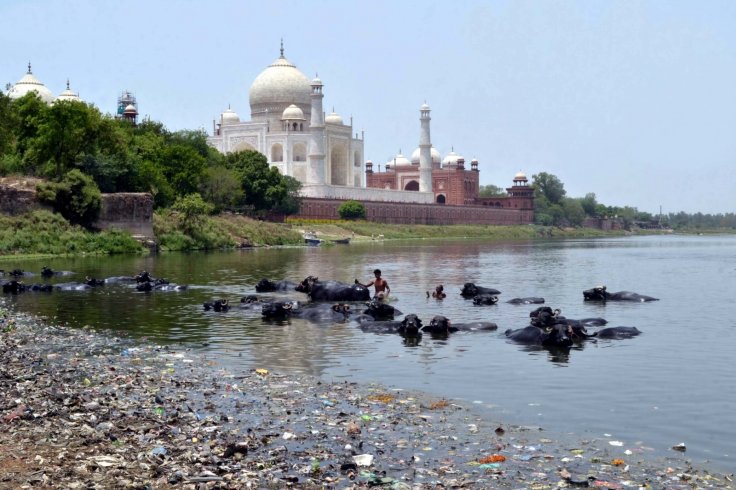 view of polluted Yamuna river flowing by the Taj Maha