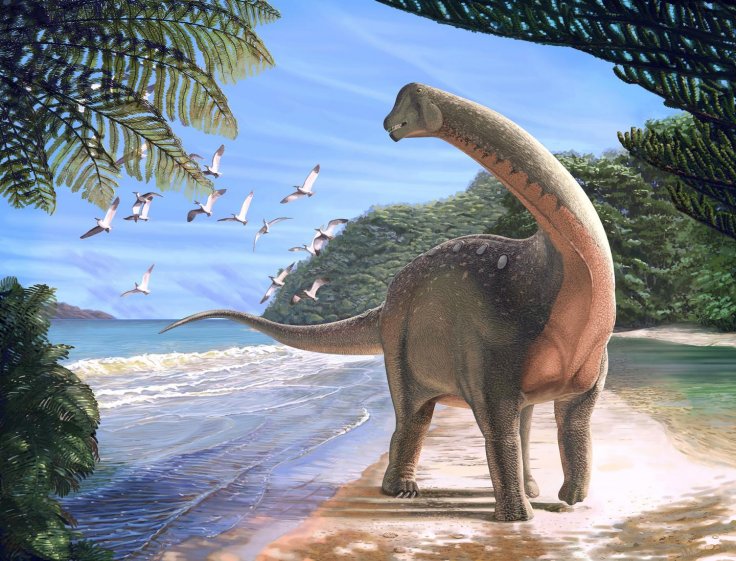 Mansourasaurus shahinae