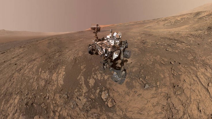 Curiosity selfie