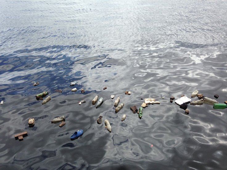 Plastic pollution Plastic pollution
